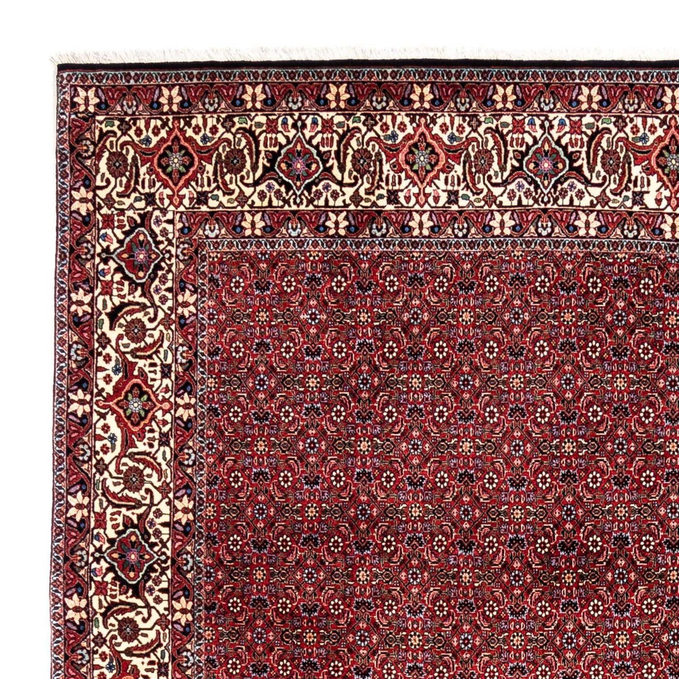 Bidjar - Takab Tapete 331x254cm - Tapete persa
