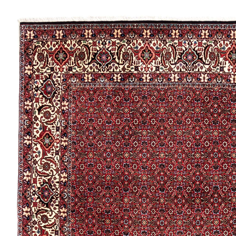 Bidjar - Takab Tapete 331x254cm - Tapete persa