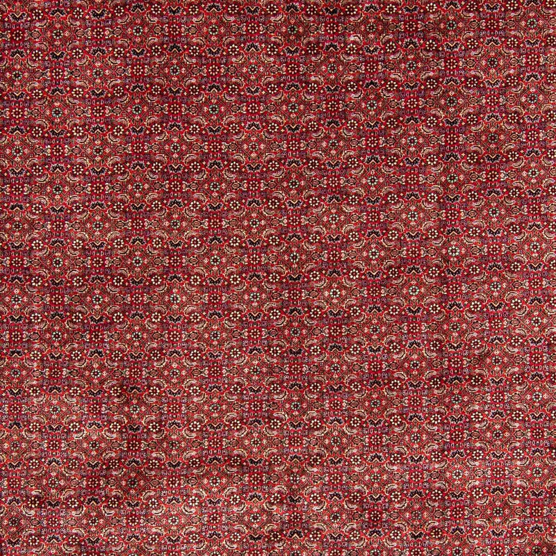 Bidjar Tapete 298x381cm - Tapete persa