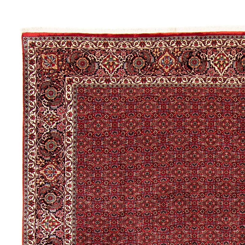 Bidjar Tapete 298x381cm - Tapete persa