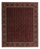 Bidjar Tapete 252x206cm - Tapete persa