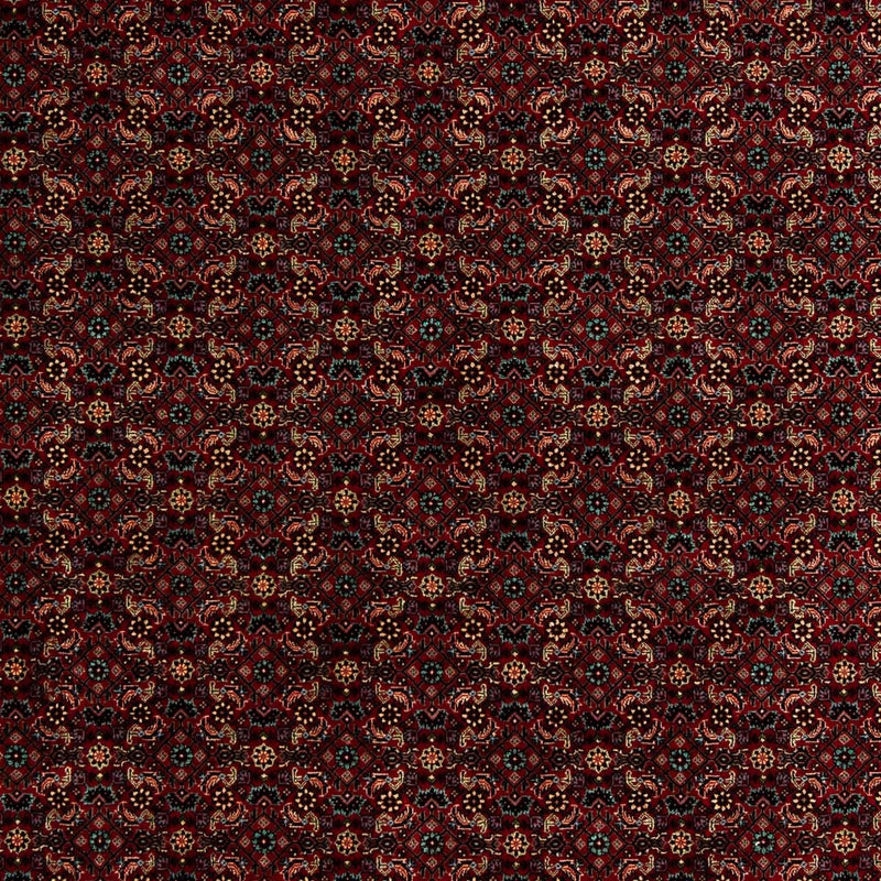 Bidjar Tapete 252x206cm - Tapete persa
