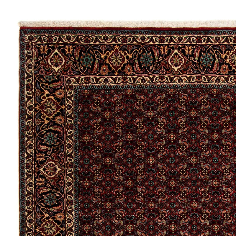 Bidjar Tapete 252x206cm - Tapete persa