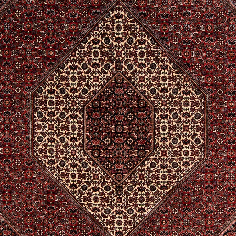 Bidjar Tapete 259x200cm - Tapete persa