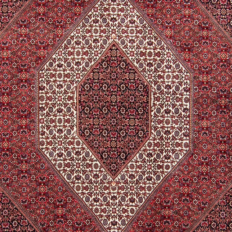 Bidjar Tapete 250x304cm - Tapete persa
