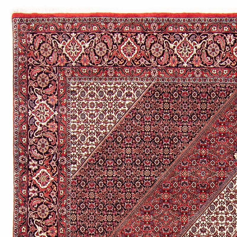 Bidjar Tapete 250x304cm - Tapete persa