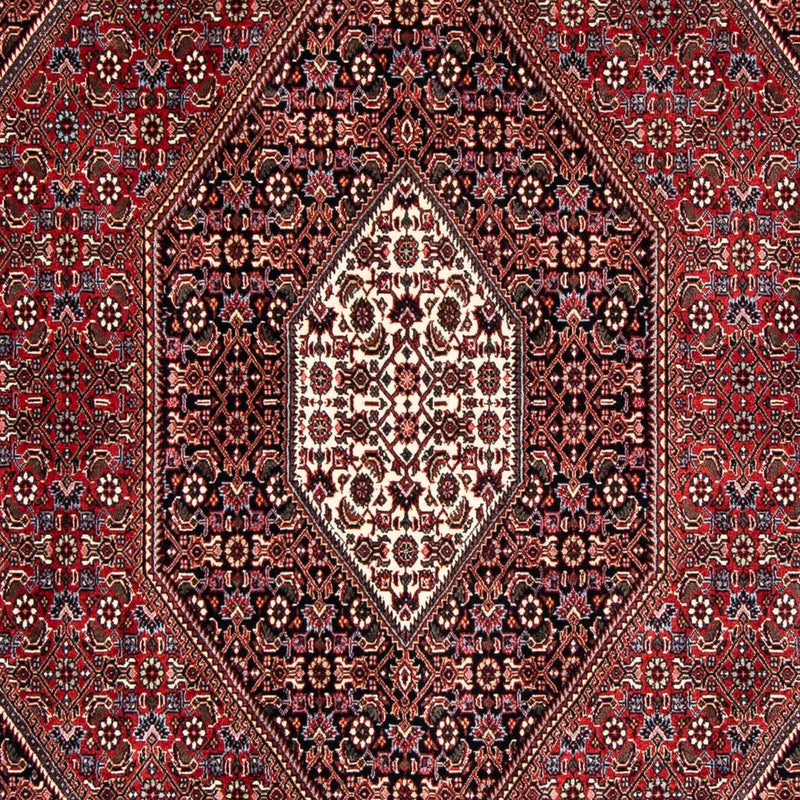 Bidjar Tapete 167x246cm - Tapete persa