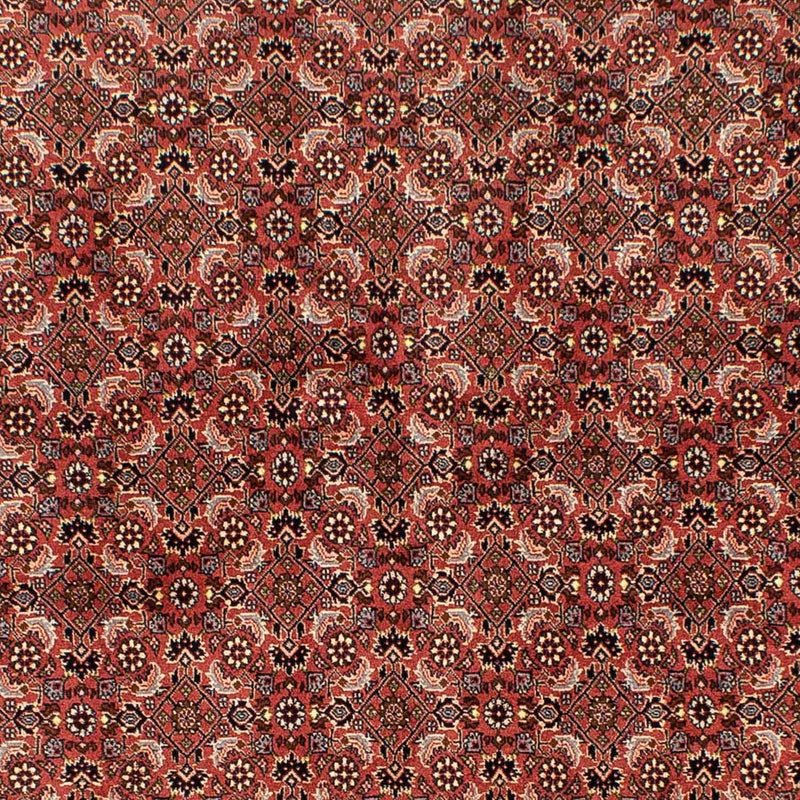 Bidjar Tapete 244x172cm - Tapete persa
