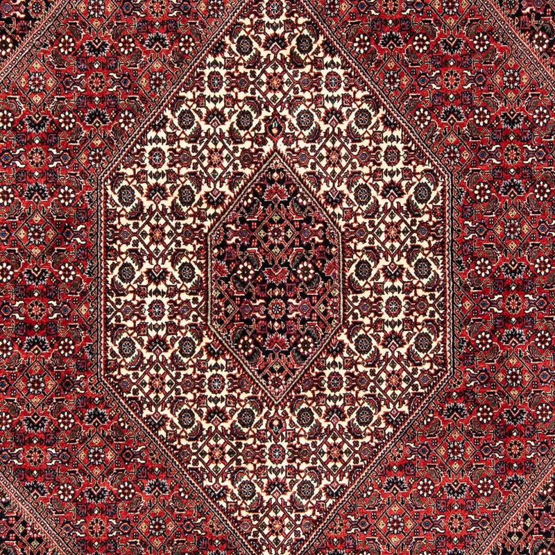 Bidjar Tapete 245x167cm - Tapete persa