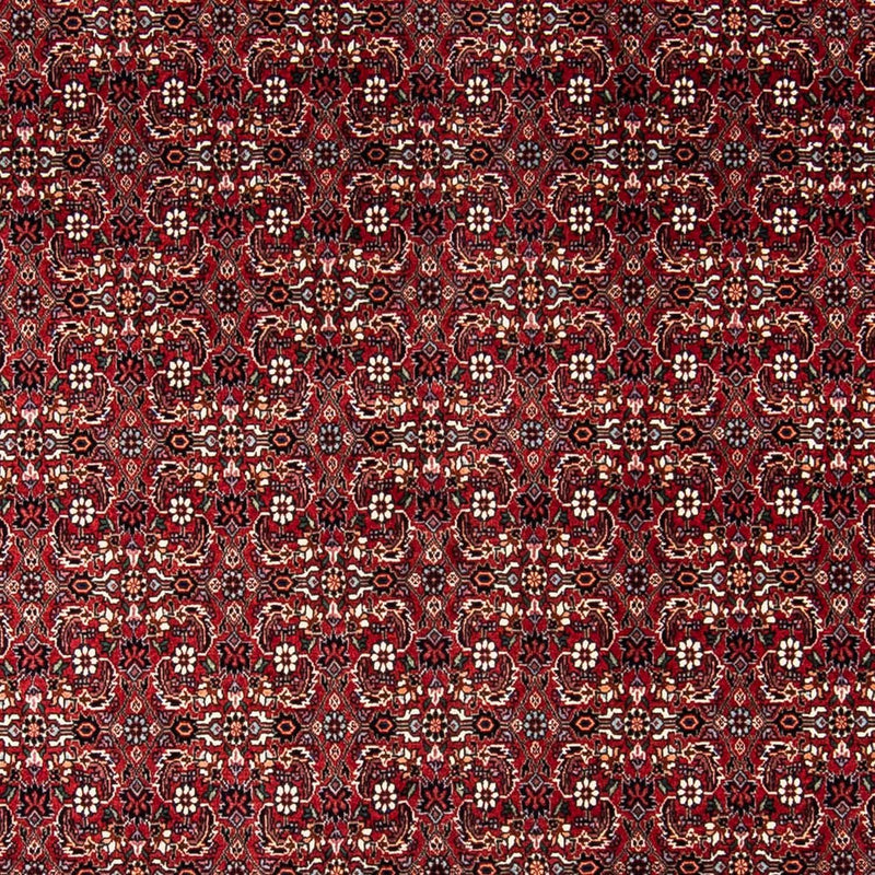 Bidjar Tapete 240x168cm - Tapete persa
