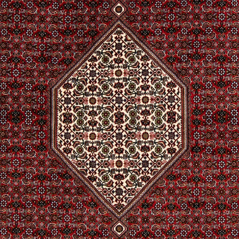 Bidjar Tapete 203x196cm - Tapete persa