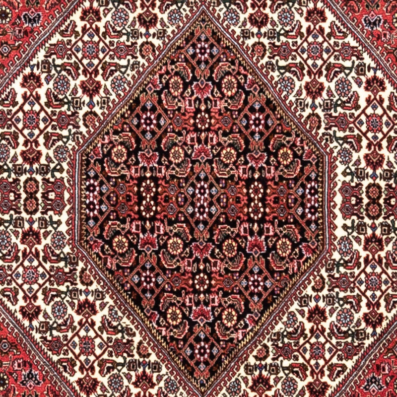 Bidjar - Takab Tapete 300x200cm - Tapete persa