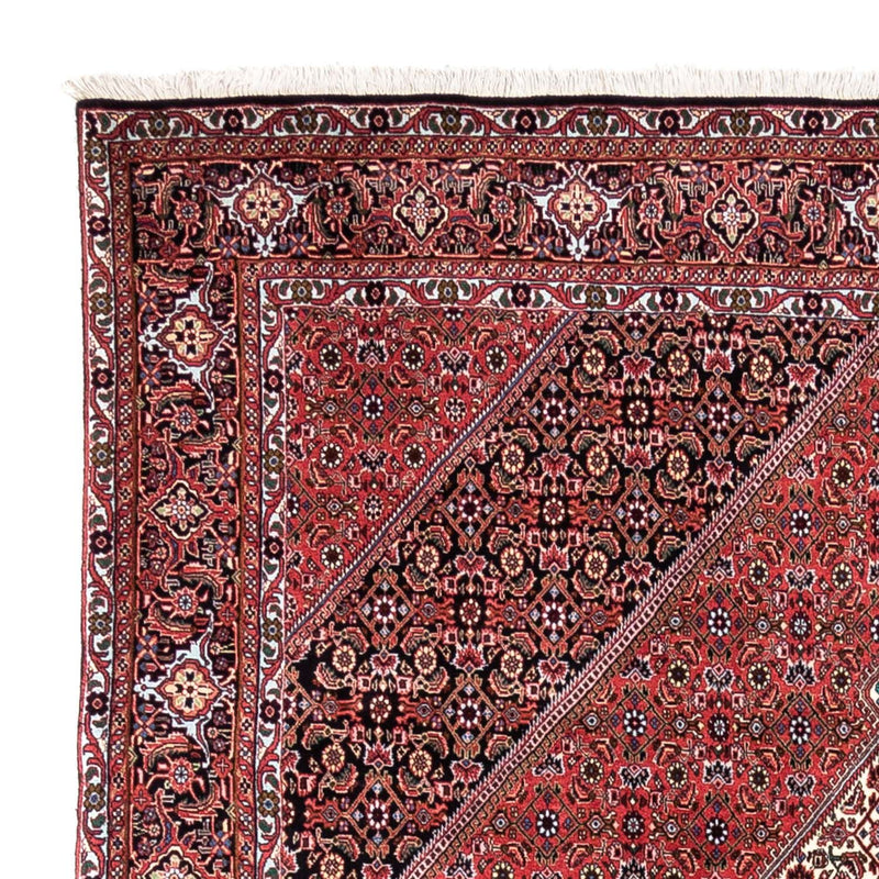 Bidjar - Takab Tapete 300x200cm - Tapete persa