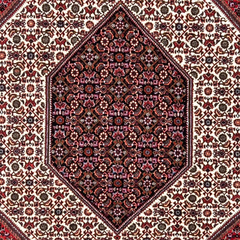 Bidjar - Takab Tapete 302x200cm - Tapete persa