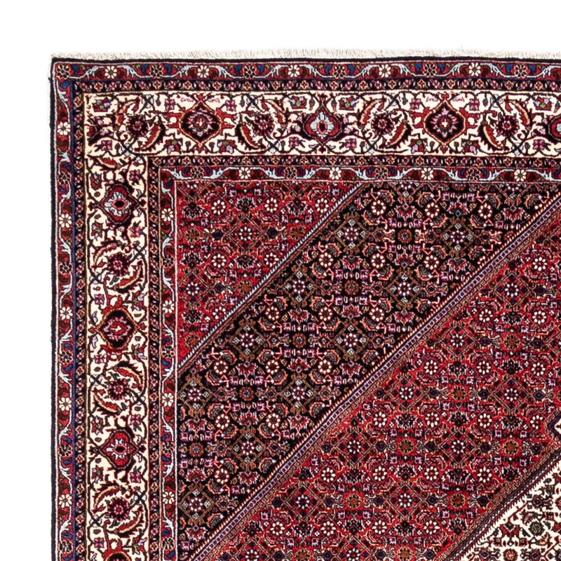 Bidjar - Takab Tapete 302x200cm - Tapete persa