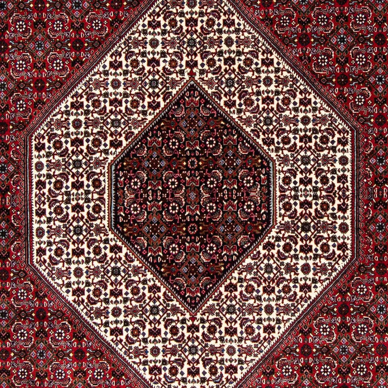 Bidjar Tapete 257x173cm - Tapete persa