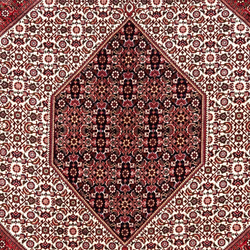 Bidjar - Takab Tapete 253x360cm - Tapete persa