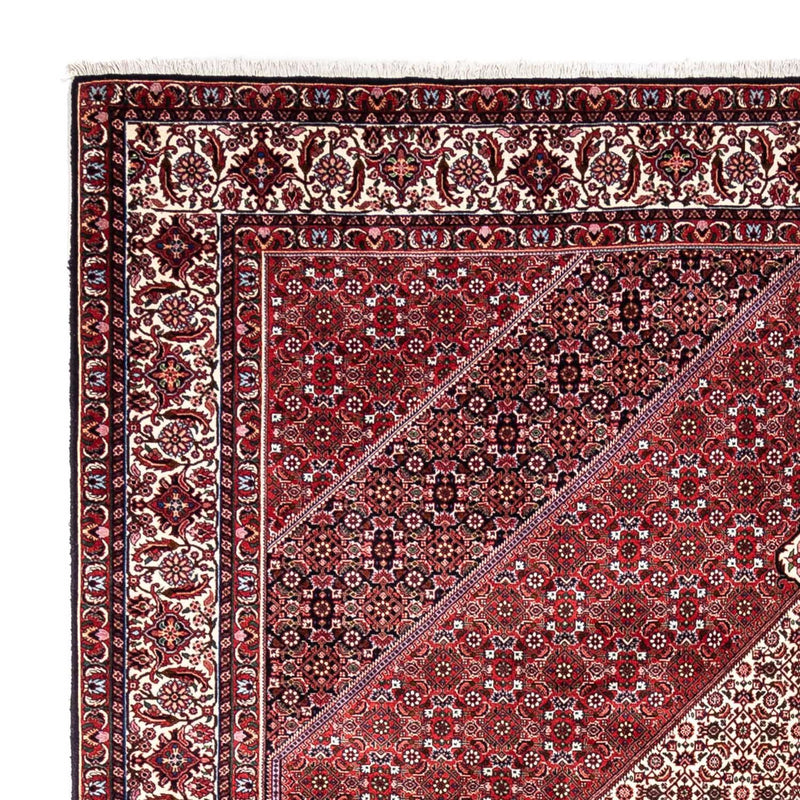 Bidjar - Takab Tapete 253x360cm - Tapete persa