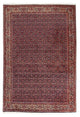 Bidjar Tapete 168x237cm - Tapete persa