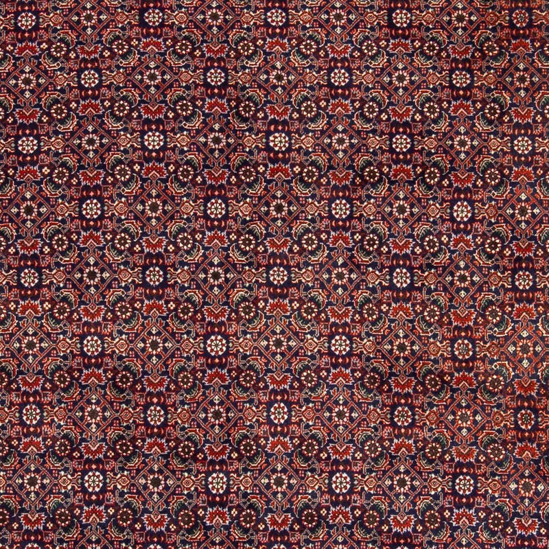Bidjar Tapete 168x237cm - Tapete persa