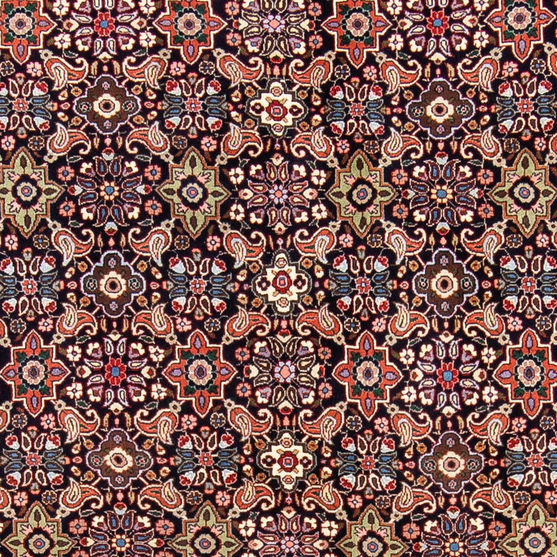 Bidjar Tapete 245x165cm - Tapete persa