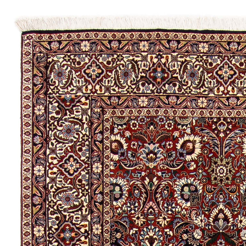 Bidjar Tapete 248x170cm - Tapete persa
