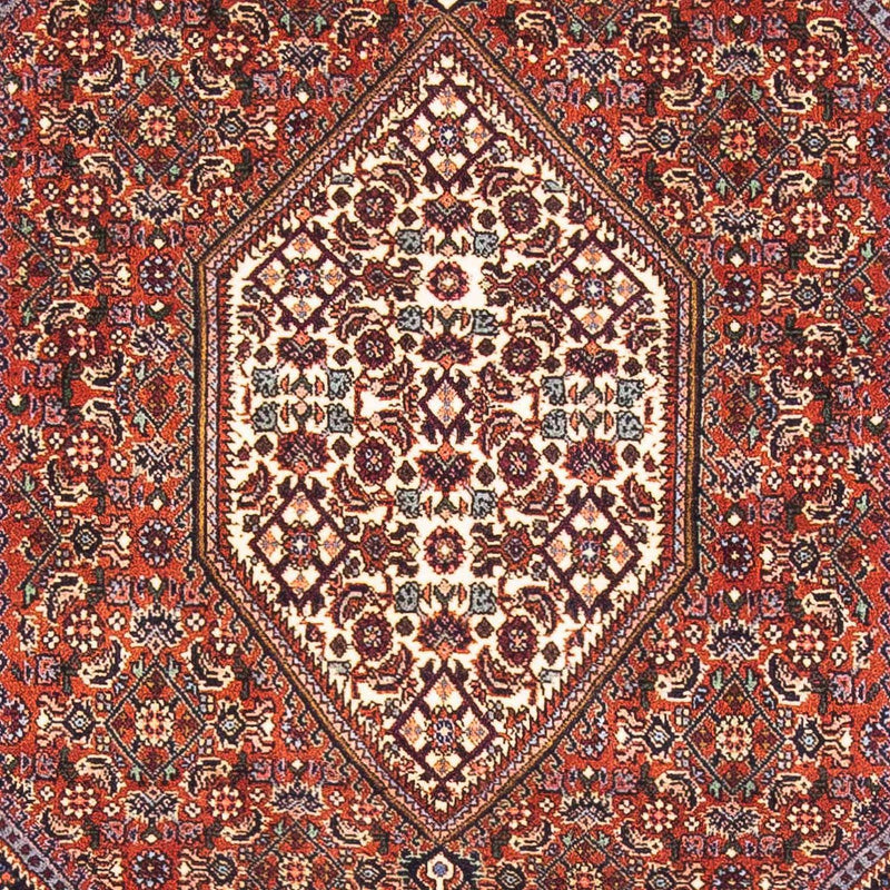 Bidjar Tapete 152x105cm - Tapete persa
