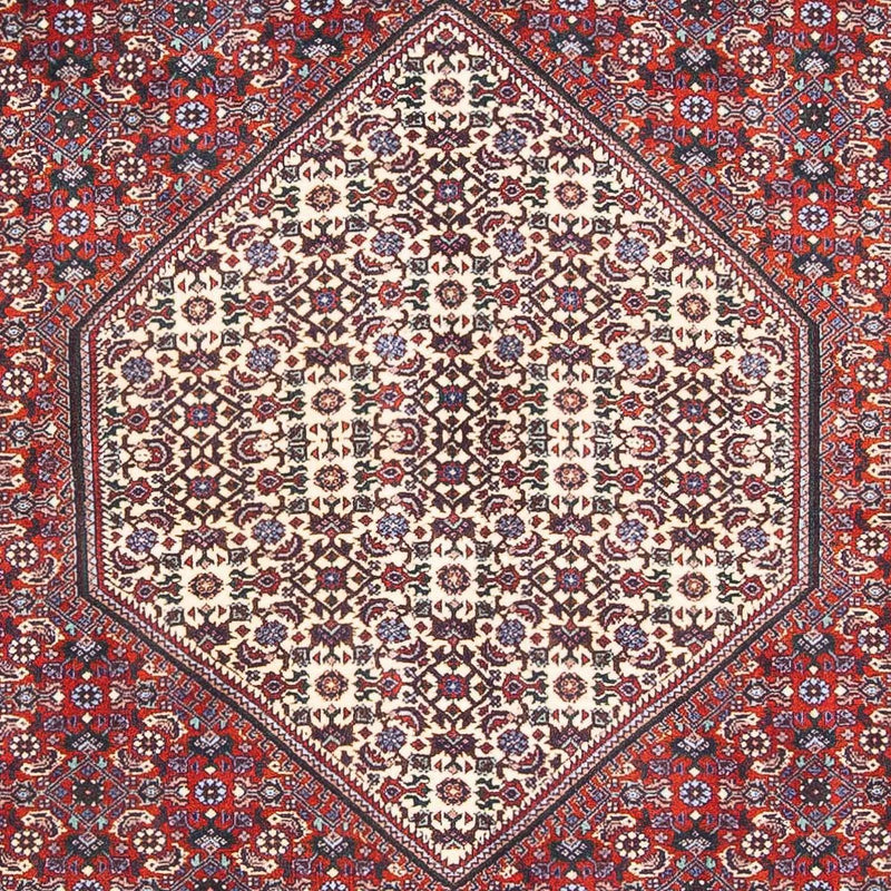 Bidjar Tapete 170x110cm - Tapete persa