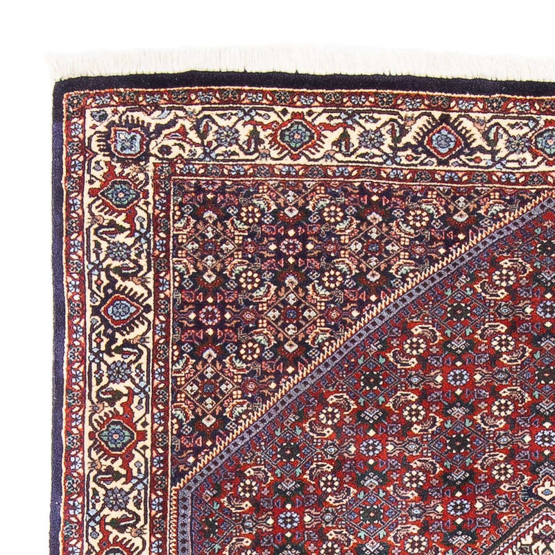 Bidjar Tapete 170x110cm - Tapete persa