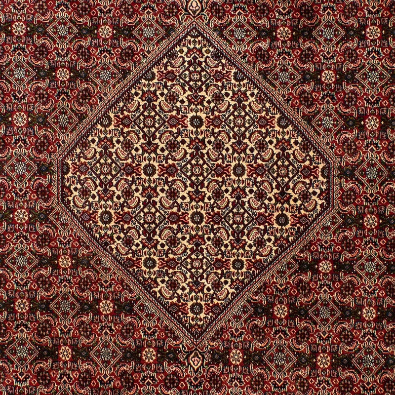 Bidjar Tapete 309x197cm - Tapete persa