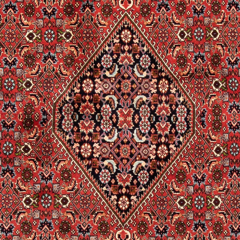 Bidjar Tapete 169x247cm - Tapete persa