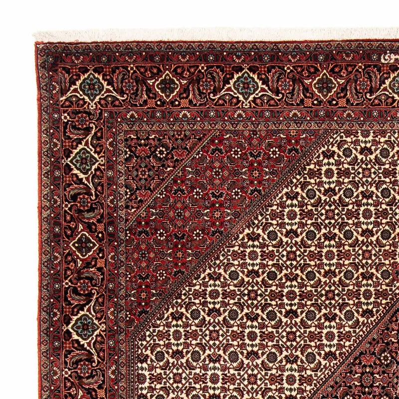 Bidjar Tapete 254x203cm - Tapete persa