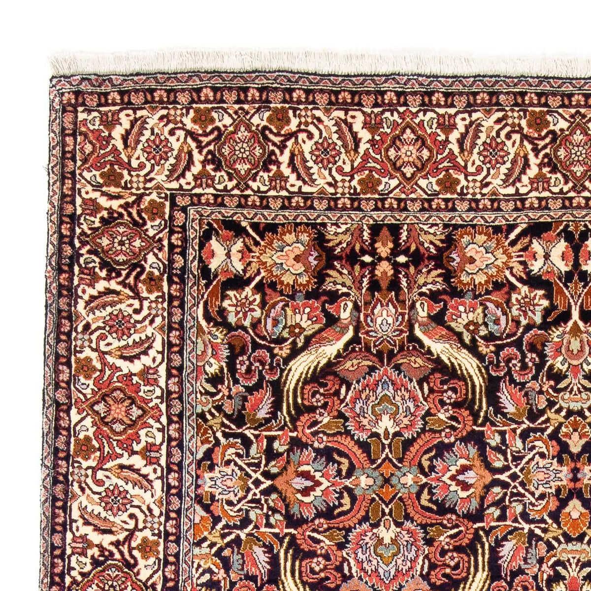 Bidjar Tapete 171x239cm - Tapete persa