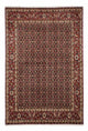 Hosseinabad Tapete 170x250cm - Tapete persa