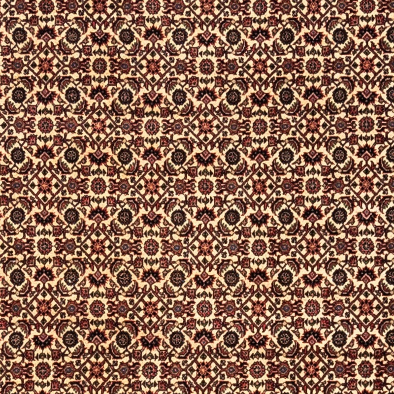 Bidjar - Takab Tapete 302x208cm - Tapete persa