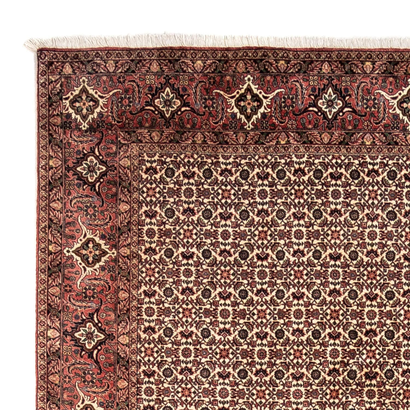 Bidjar - Takab Tapete 302x208cm - Tapete persa