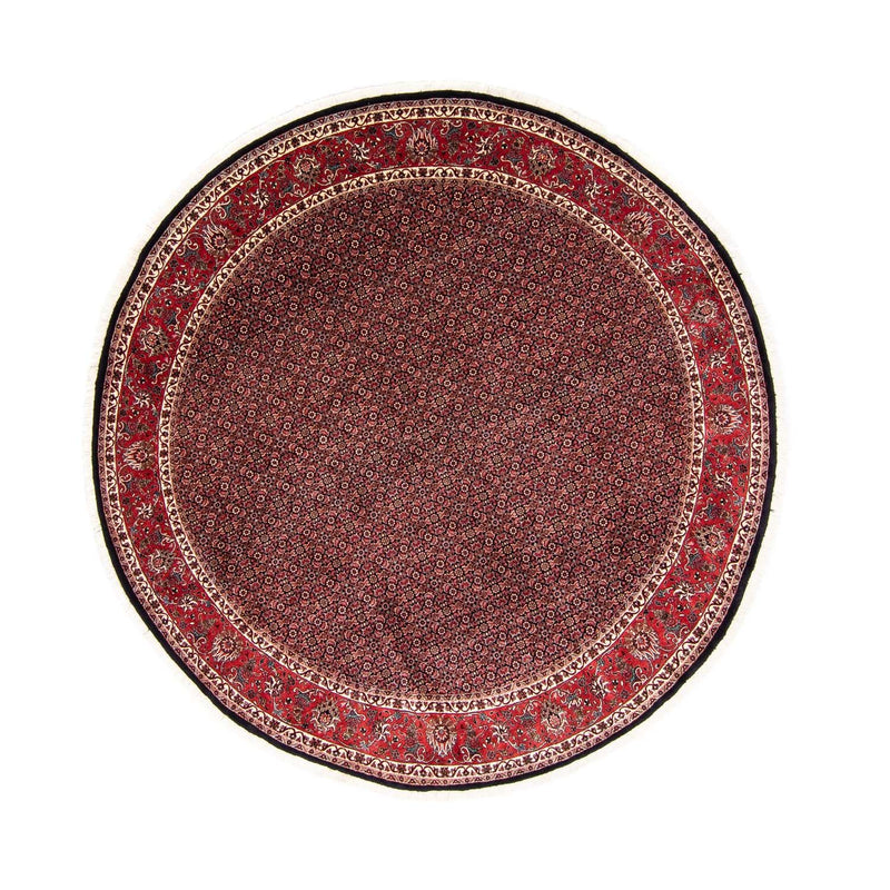 Bidjar Tapete 250x250cm - Tapete persa