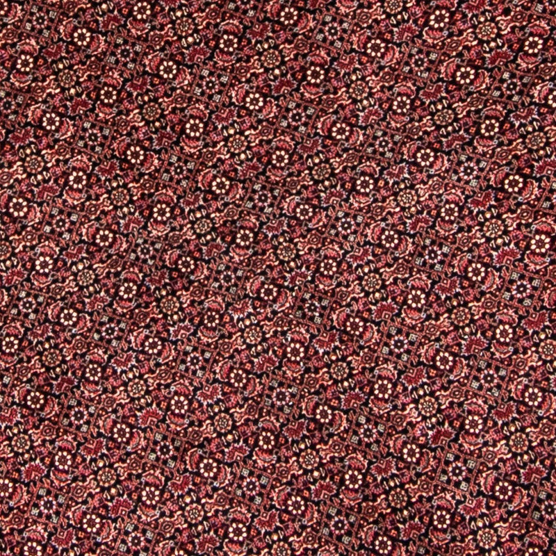 Bidjar Tapete 250x250cm - Tapete persa