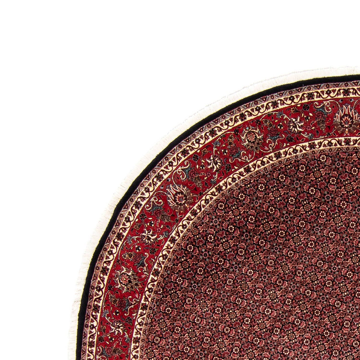 Bidjar Tapete 250x250cm - Tapete persa