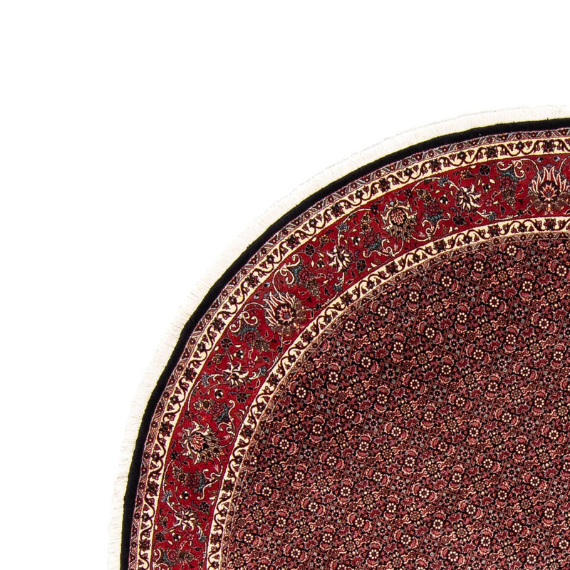 Bidjar Tapete 250x250cm - Tapete persa
