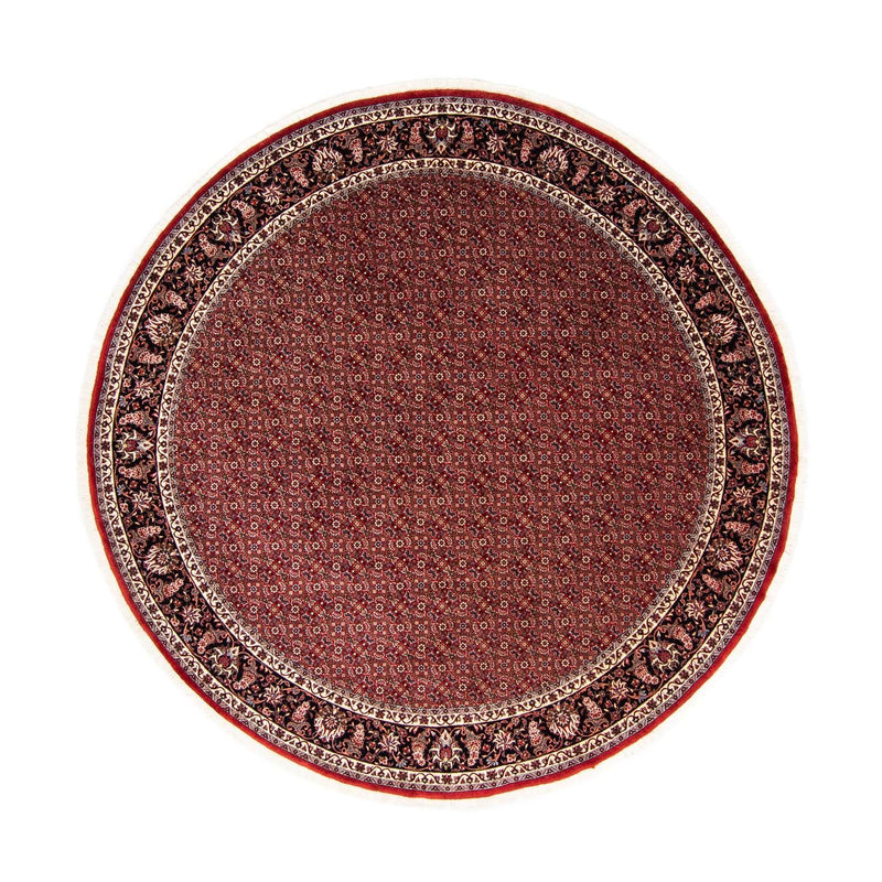 Bidjar Tapete 250x250cm - Tapete persa