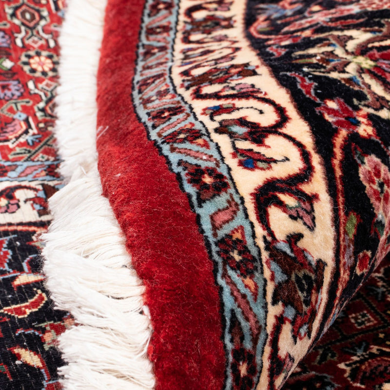 Bidjar Tapete 250x250cm - Tapete persa