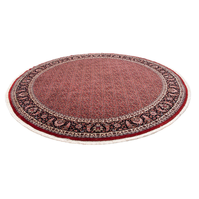 Bidjar Tapete 250x250cm - Tapete persa