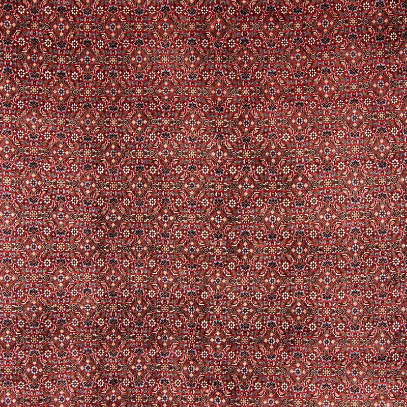 Bidjar Tapete 398x299cm - Tapete persa