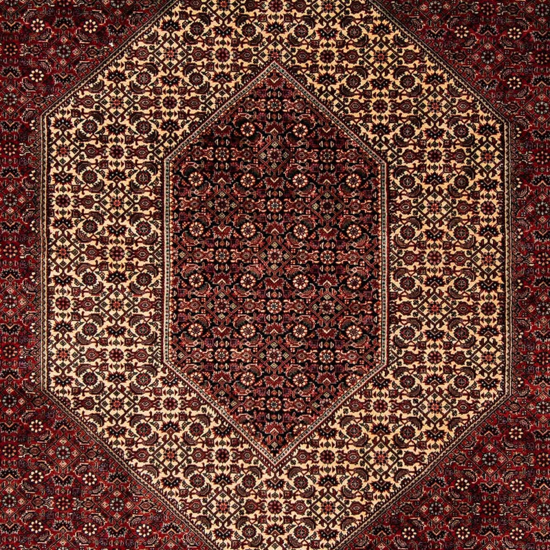 Bidjar Tapete 238x196cm - Tapete persa