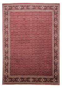 Bidjar Tapete 248x347cm - Tapete persa – product image