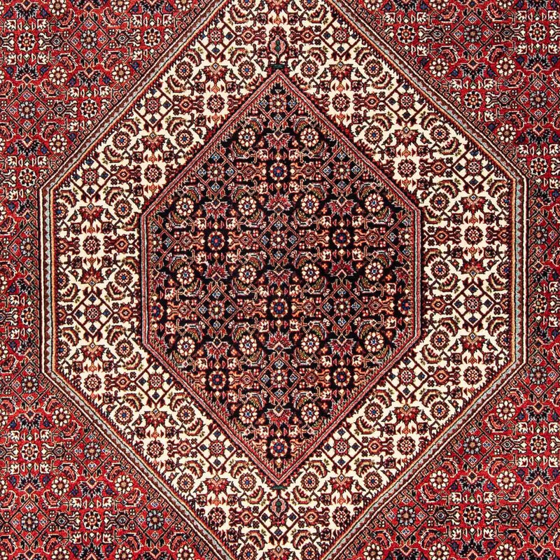Bidjar Tapete 254x171cm - Tapete persa