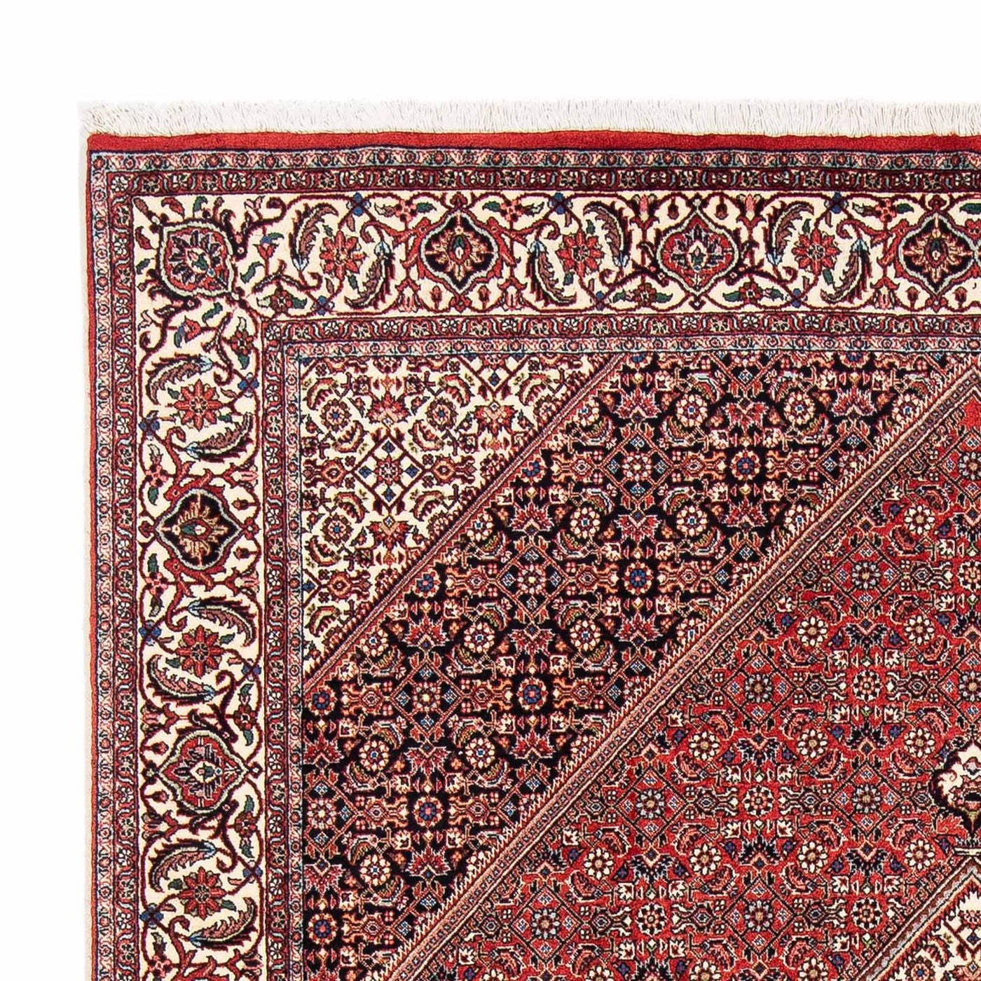 Bidjar Tapete 254x171cm - Tapete persa