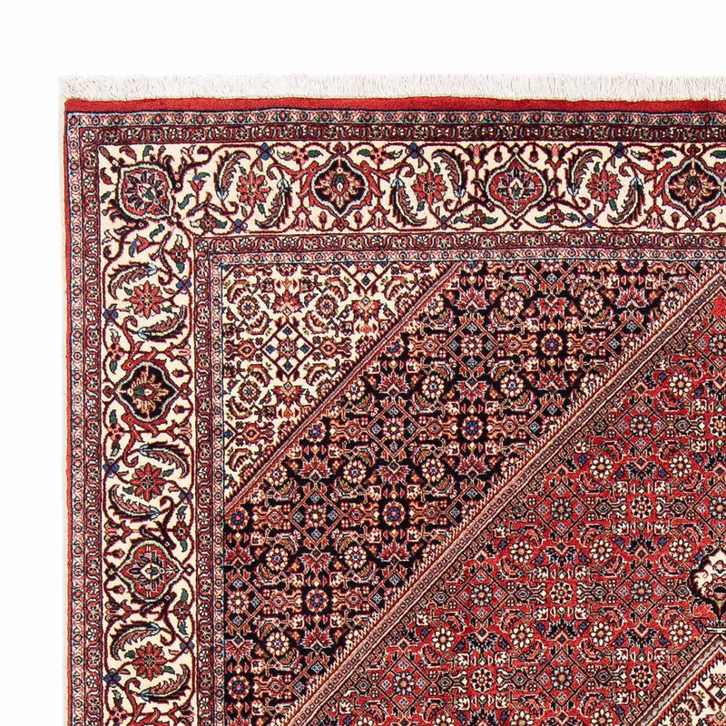 Bidjar Tapete 254x171cm - Tapete persa