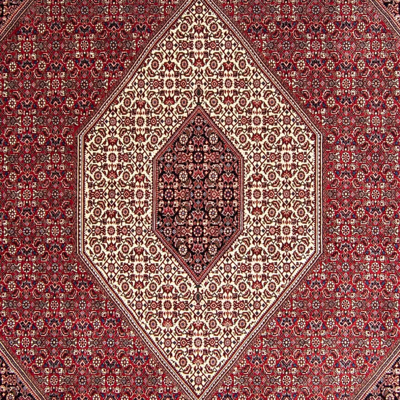 Bidjar Tapete 252x343cm - Tapete persa